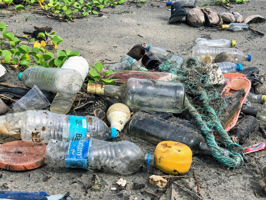 The Hidden Costs of Convenience: Health and Environmental Impacts of Plastic Water Bottles